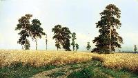 Все дома в гта 5 онлайн фото Все дома в гта 5 онлайн фото
